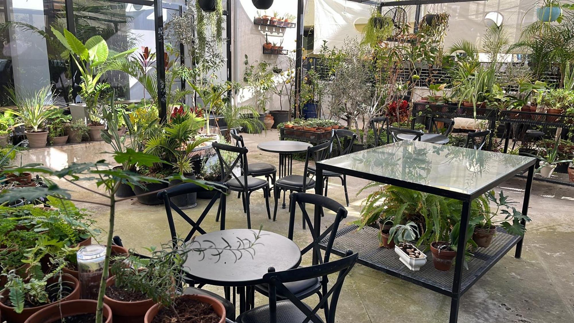 Yona 8 Bed & Breakfast Tel Aviv Dış mekan fotoğraf