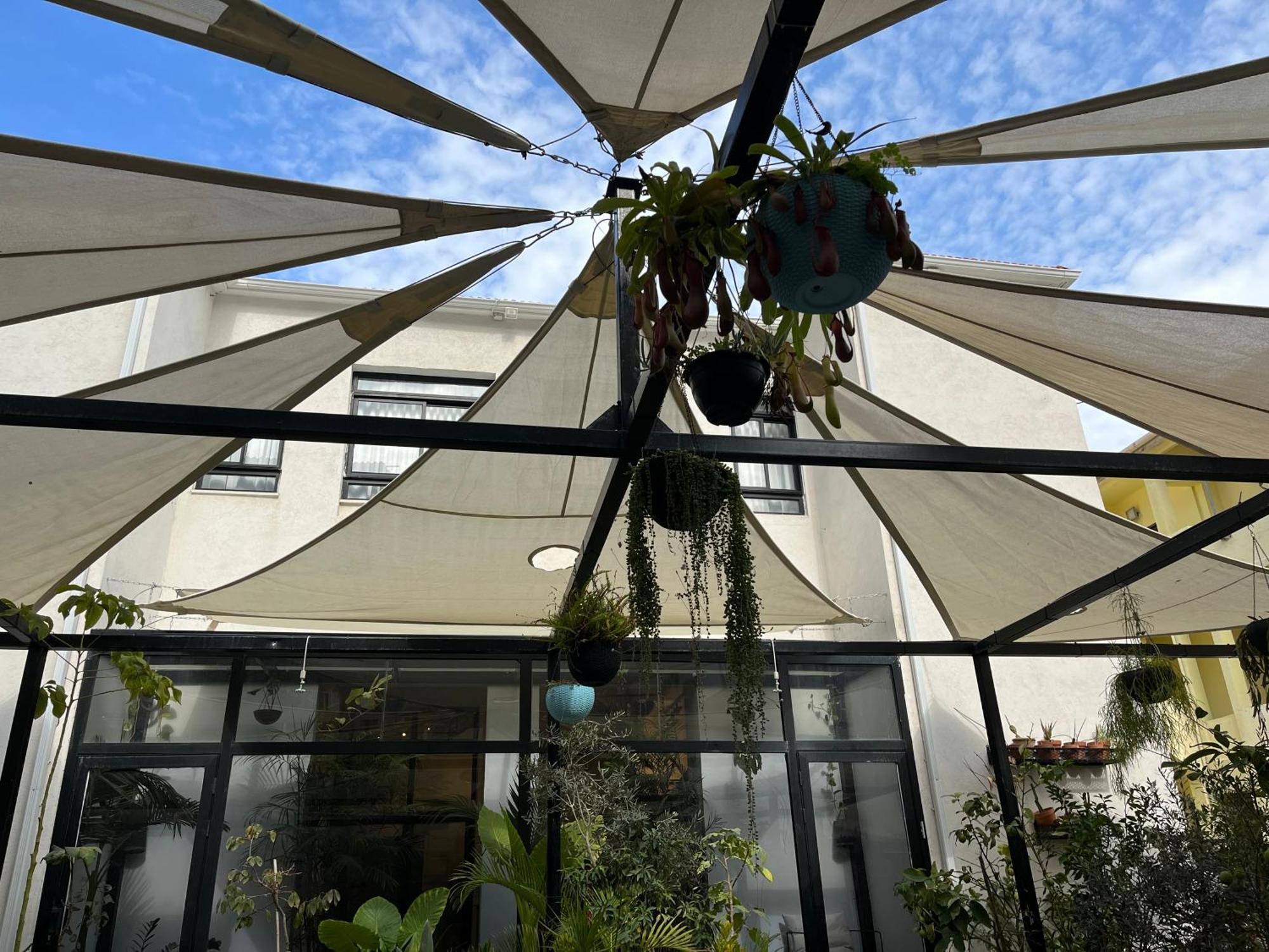 Yona 8 Bed & Breakfast Tel Aviv Dış mekan fotoğraf